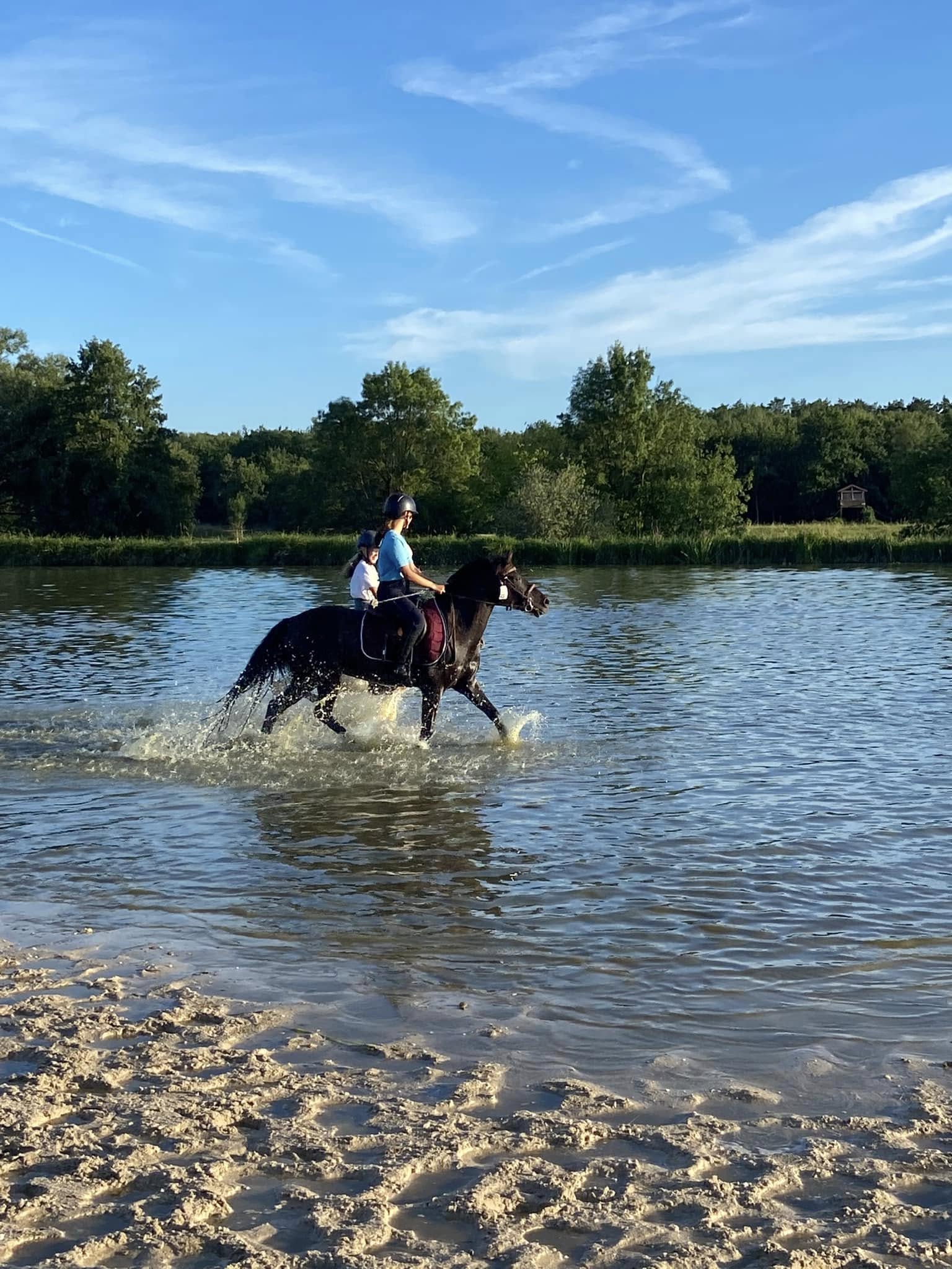 Travaux et transformation